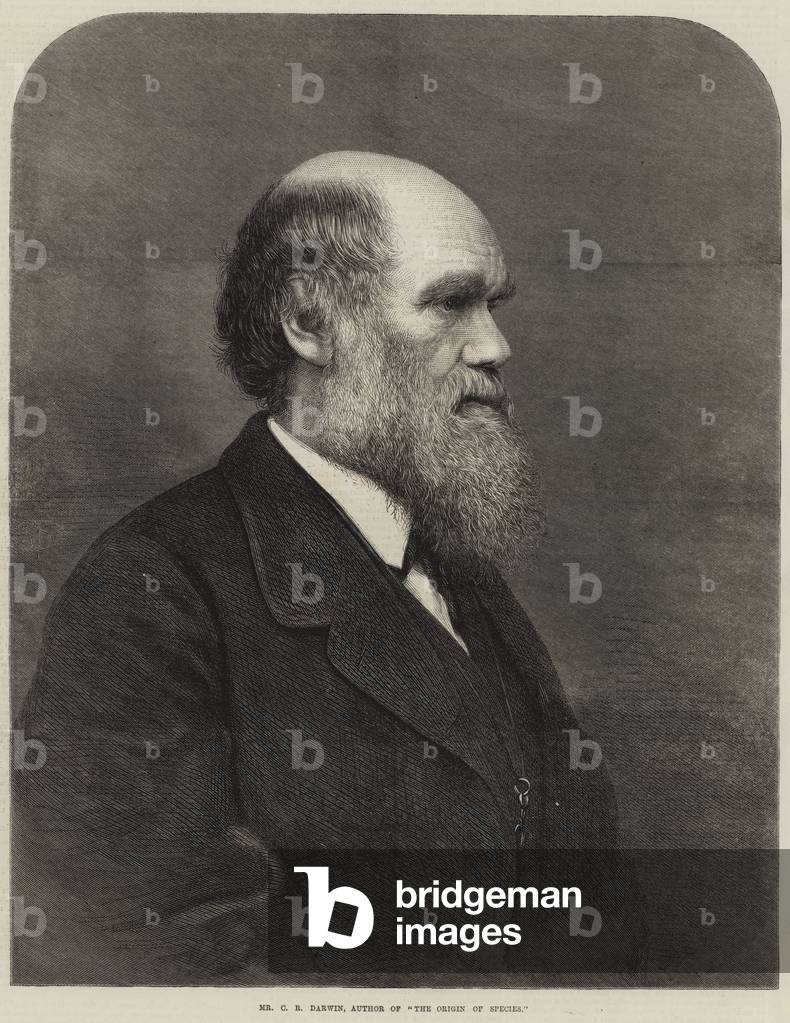 Mr C R Darwin, Author of 