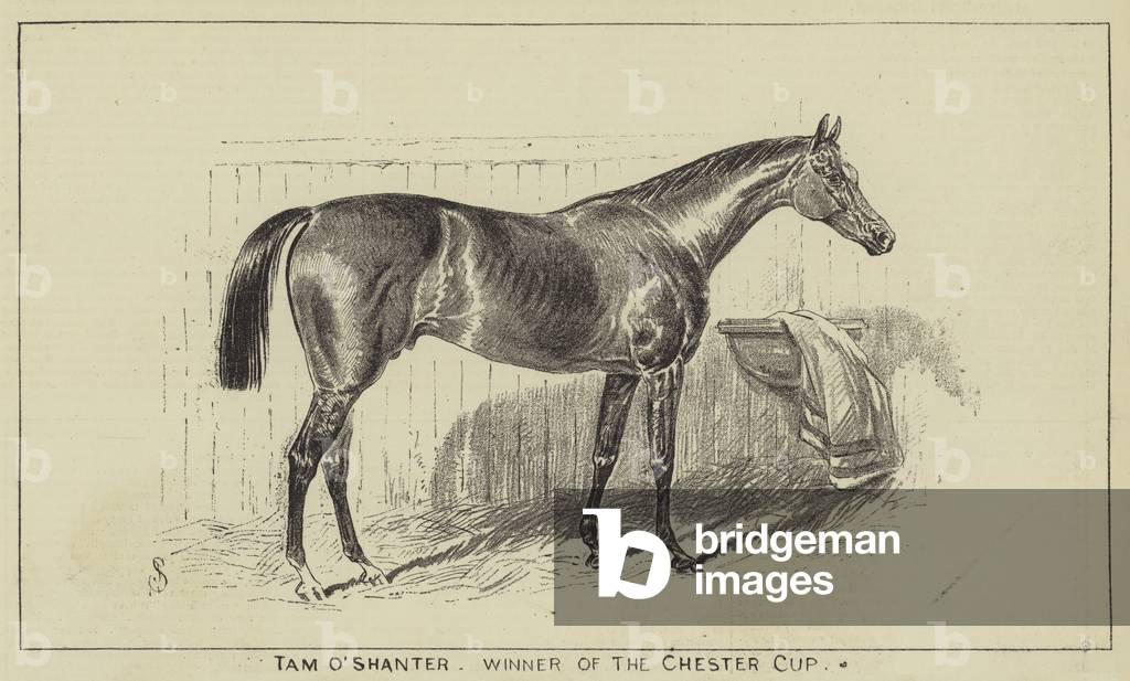 Tam O'Shanter, Winner of the Chester Cup (engraving)