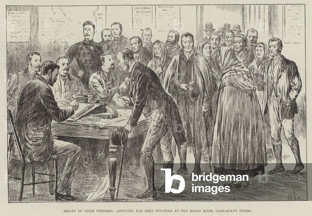 Relief of Irish Distress, applying for Seed Potatoes at the Board Room, Clonakilty Union (engraving)