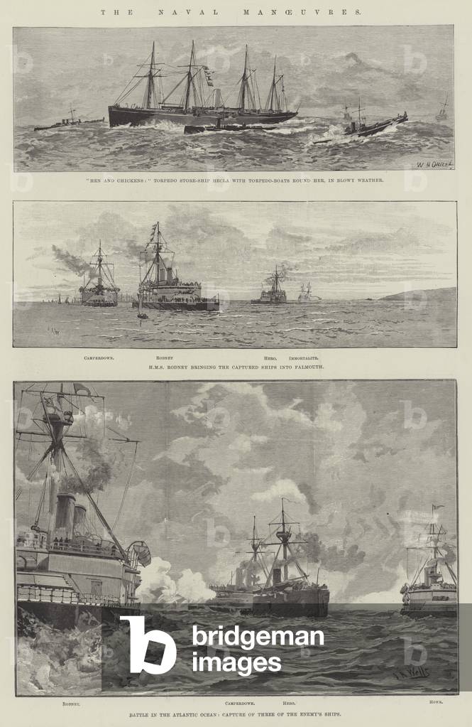 The Naval Manoeuvres (engraving)