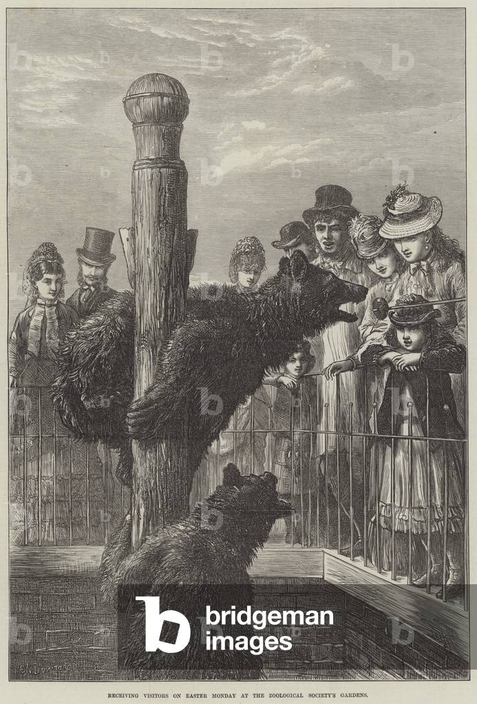 Receiving Visitors on Easter Monday at the Zoological Society's Gardens (engraving)