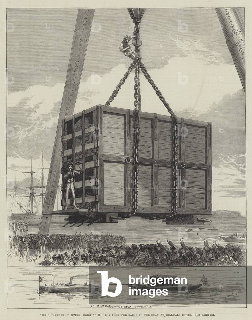 The Departure of Jumbo, hoisting his Box from the Barge to the Quay at Millwall Docks (engraving)