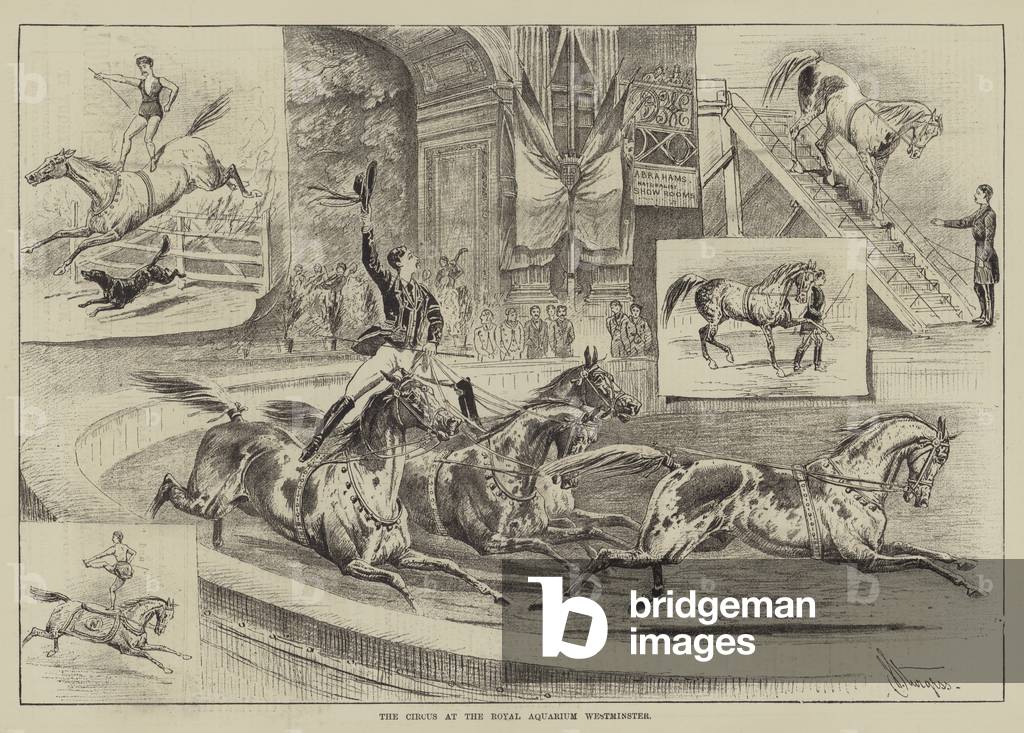 The Circus at the Royal Aquarium, Westminster (engraving)
