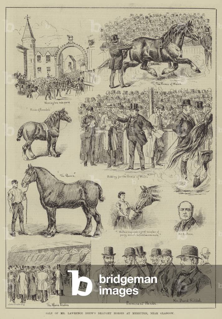 Sale of Mr Lawrence Drew's Draught Horses at Merryton, near Glasgow (engraving)