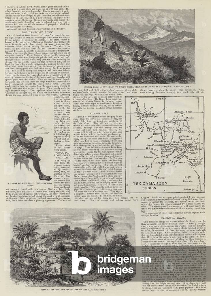 The Germans in Africa (engraving)