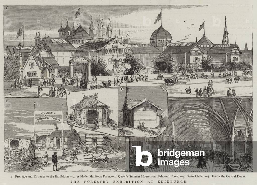 The Forestry Exhibition at Edinburgh (engraving)