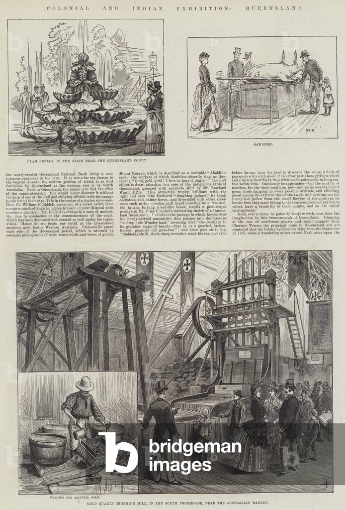 Colonial and Indian Exhibition, Queensland (engraving)