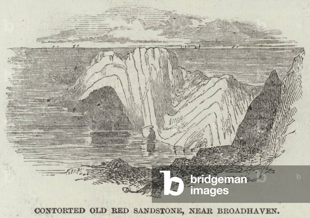 Contorted Old Red Sandstone, near Broadhaven (engraving)