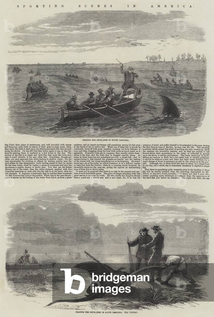 Sporting Scenes in America (engraving)
