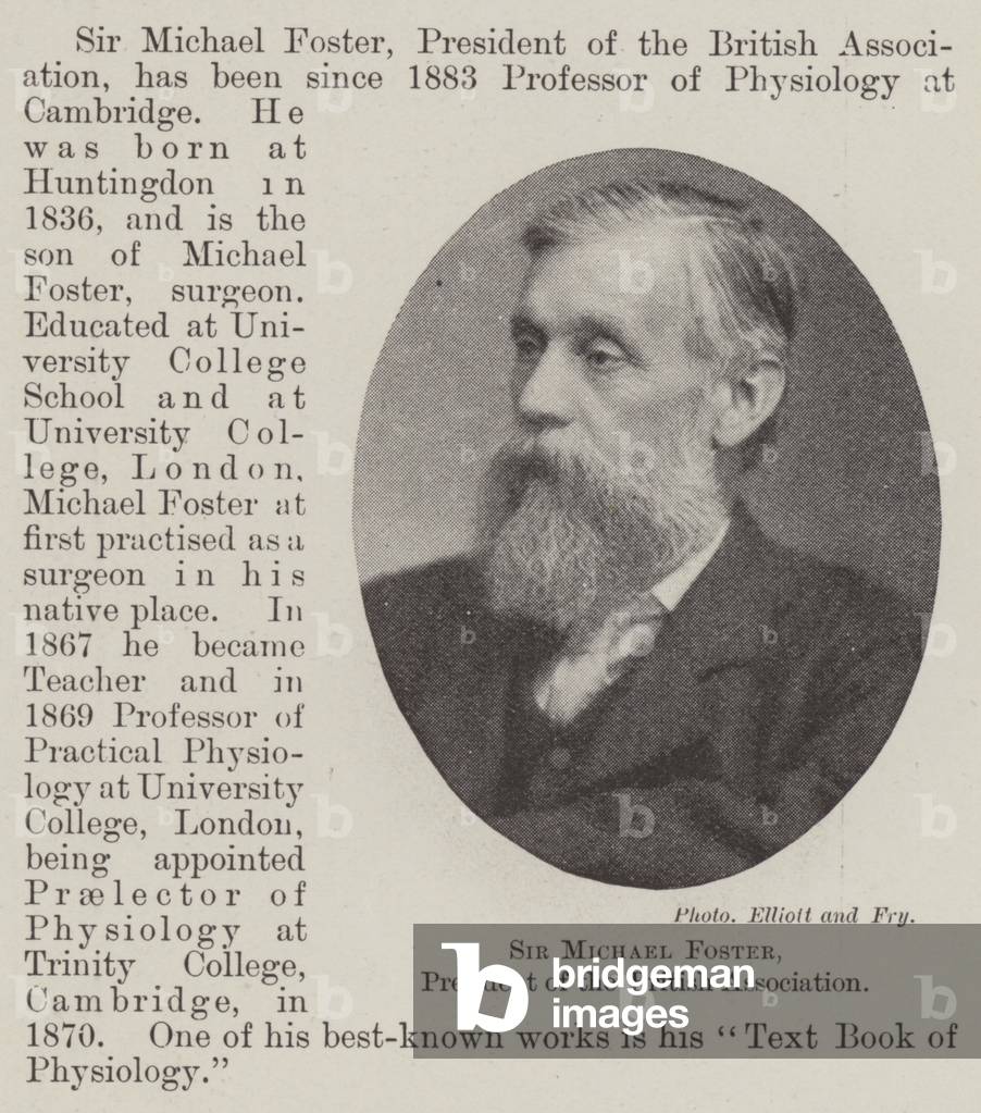 Sir Michael Foster, President of the British Association (b/w photo)