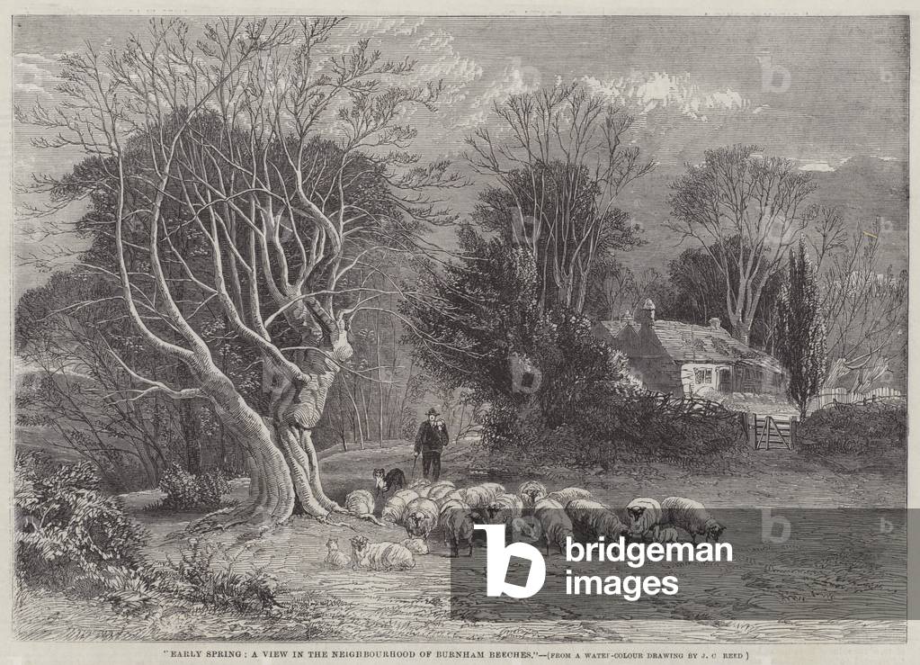 Early Spring, a View in the Neighbourhood of Burnham Beeches (engraving)