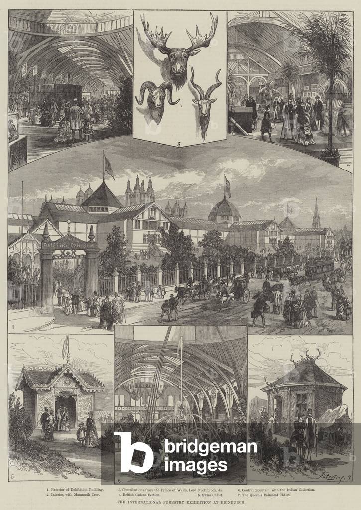 The International Forestry Exhibition at Edinburgh (engraving)