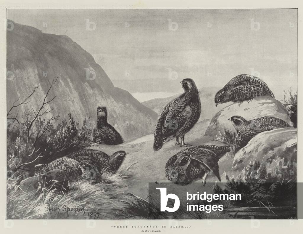 Where Ignorance is Bliss (engraving)