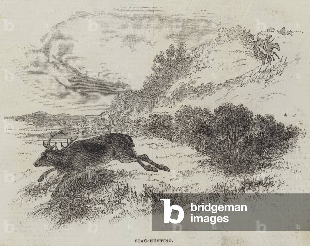 Stag-Hunting (engraving)