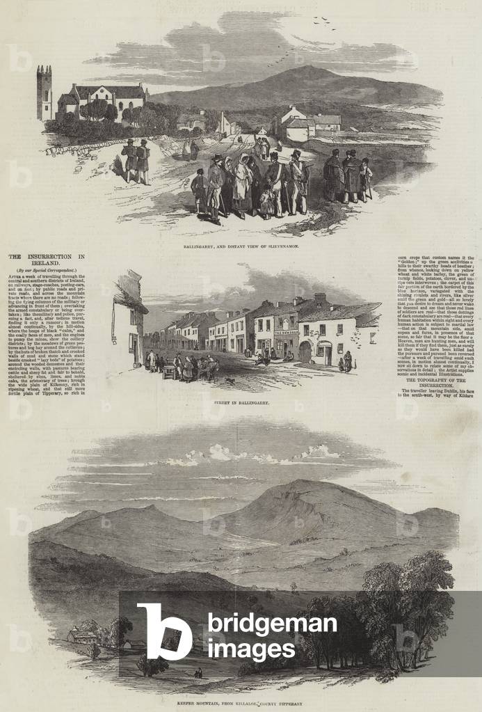 The Insurrection in Ireland (engraving)