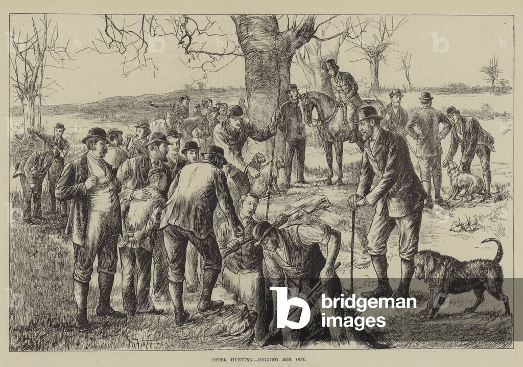 Otter Hunting, digging him out (engraving)