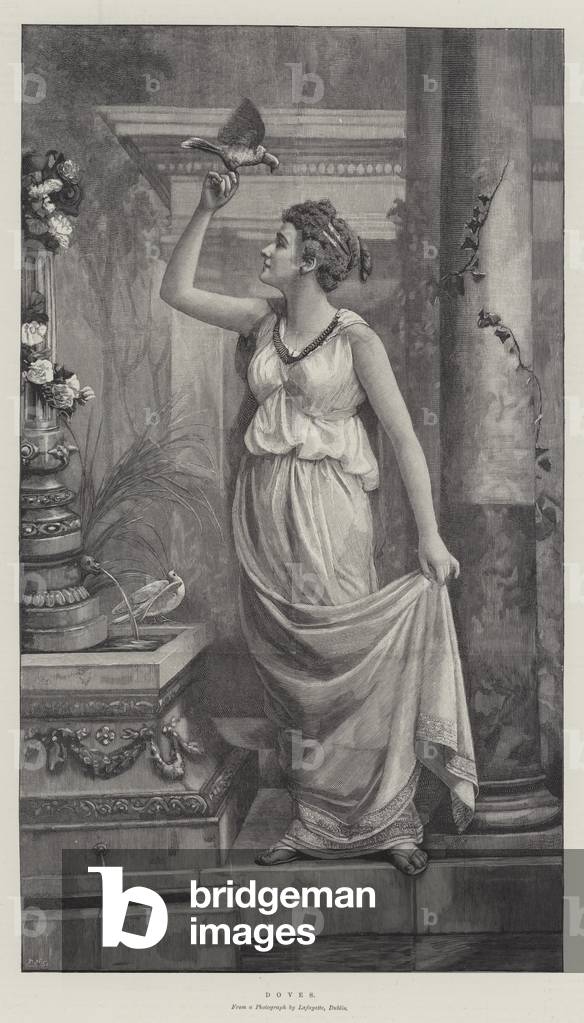 Doves (engraving)