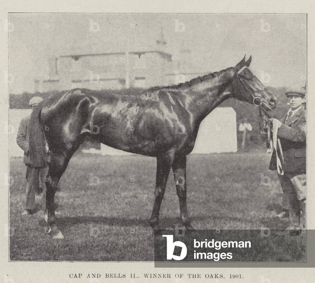 Cap and Bells II, Winner of the Oaks, 1901 (b/w photo)