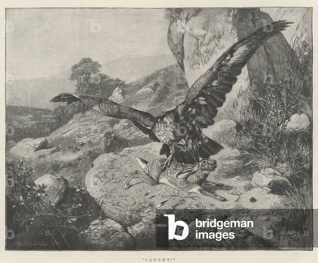 Caught (engraving)