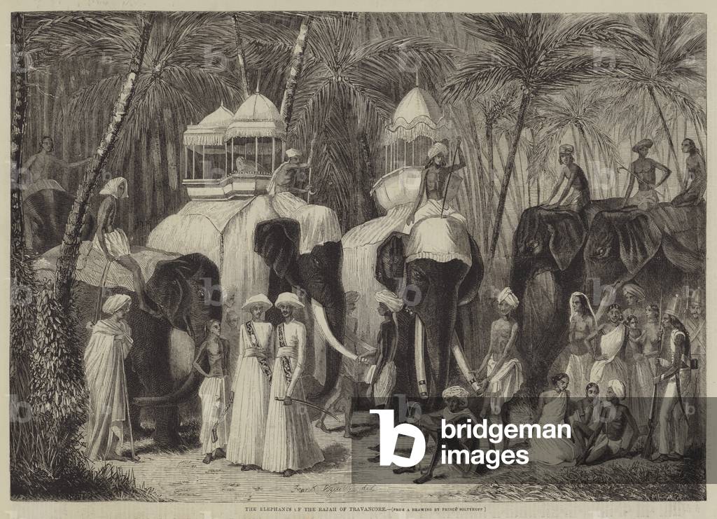The Elephants of the Rajah of Travancore (engraving)