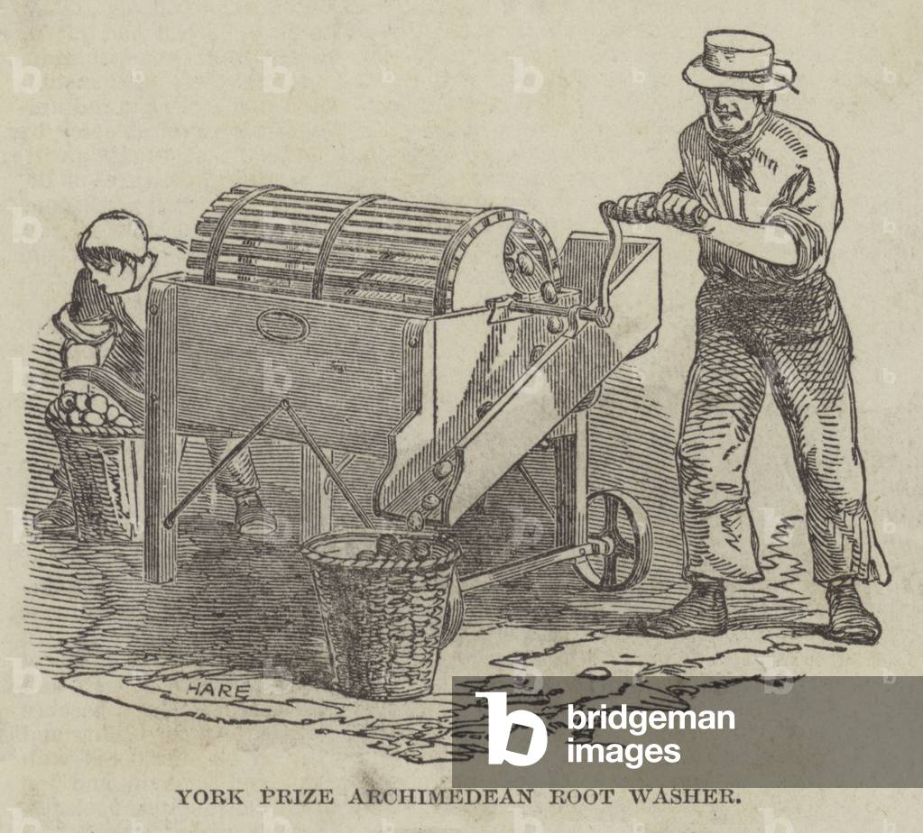 York Prize Archimedean Root Washer (engraving)