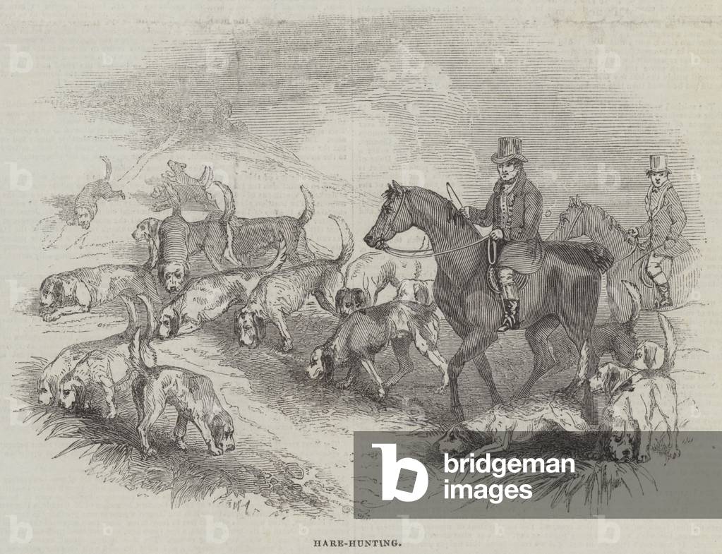 Hare-Hunting (engraving)