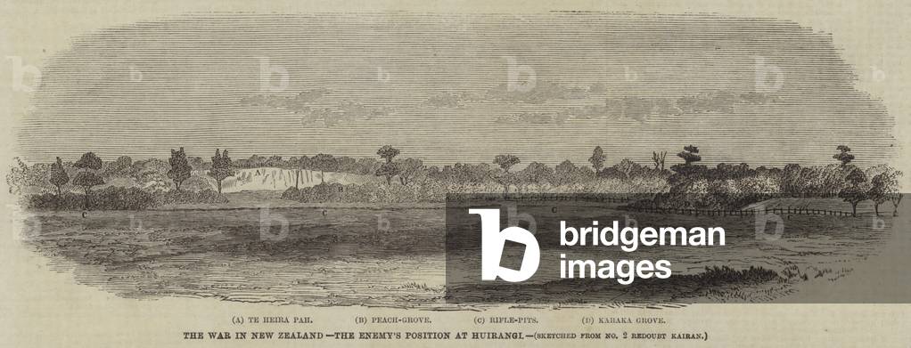 The War in New Zealand, the Enemy's Position at Huirangi (engraving)