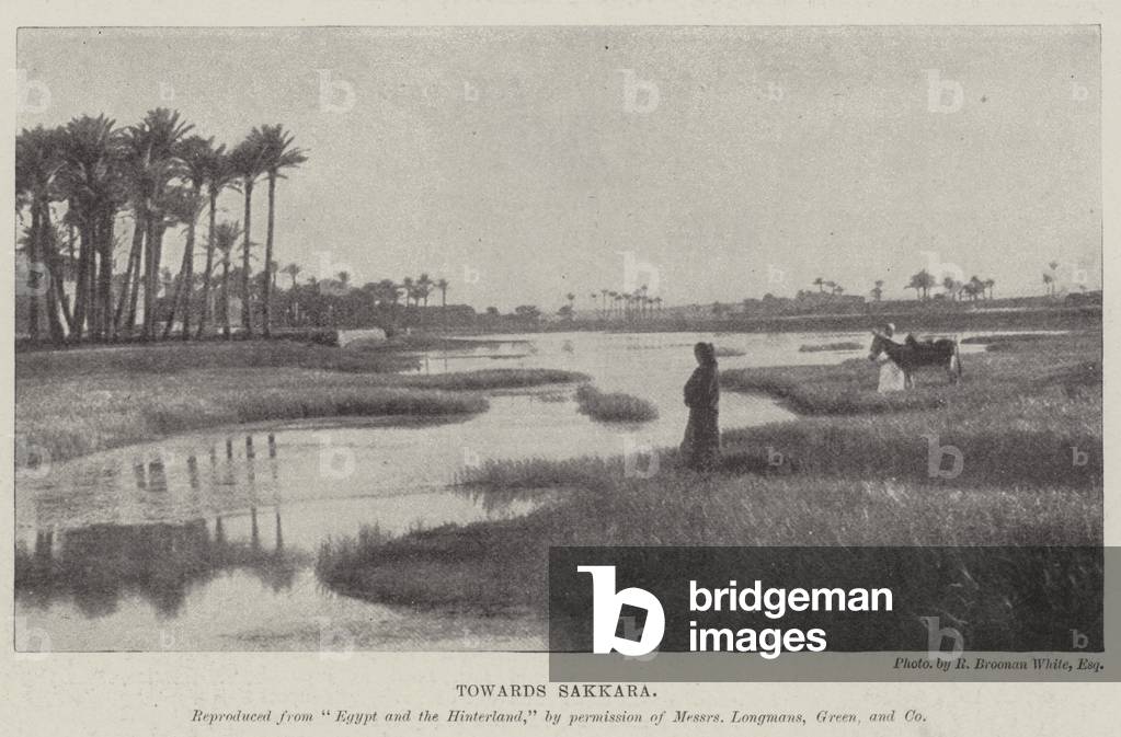 Towards Sakkara (b/w photo)