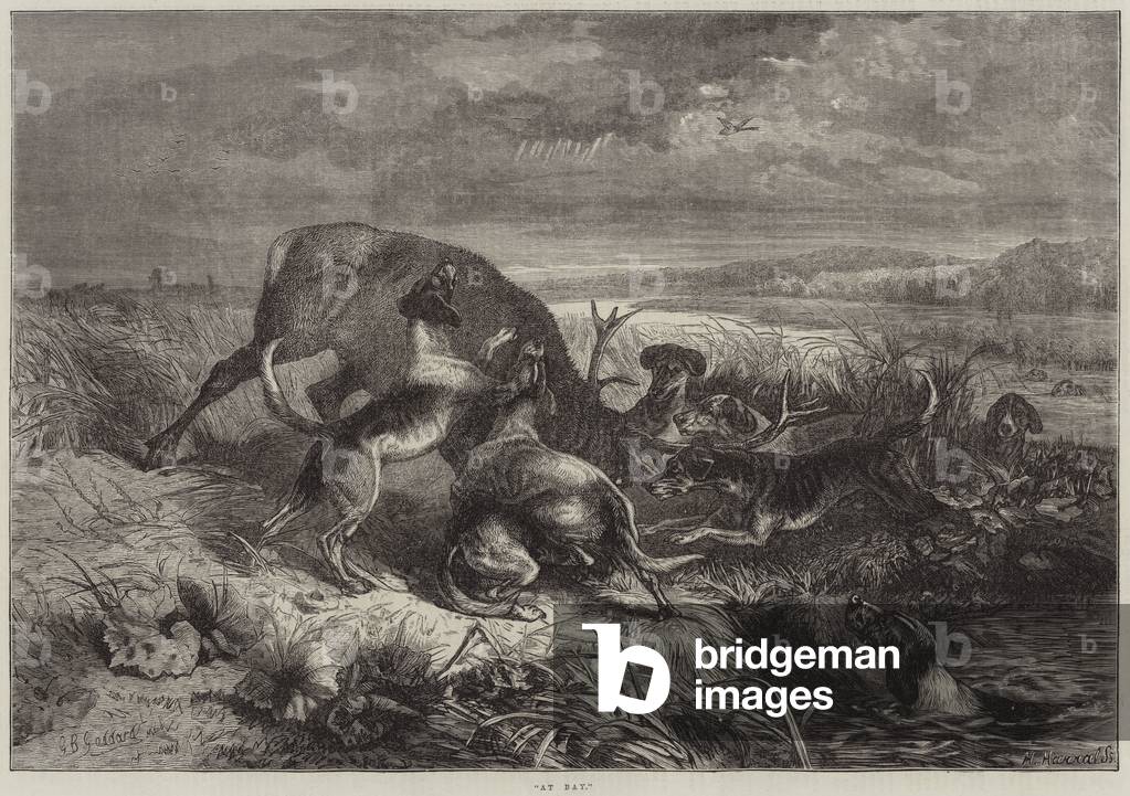 At Bay (engraving)