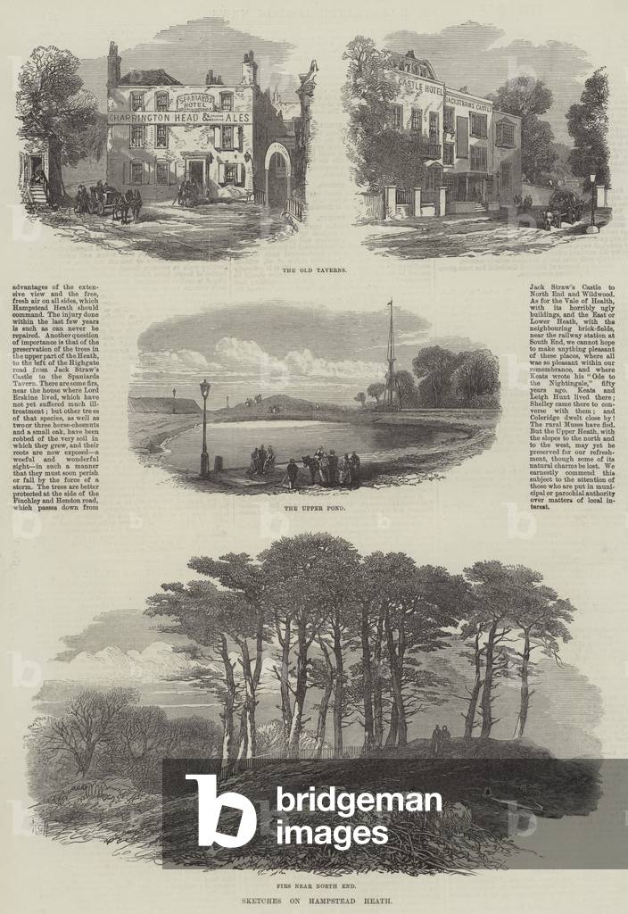 Sketches on Hampstead Heath (engraving)