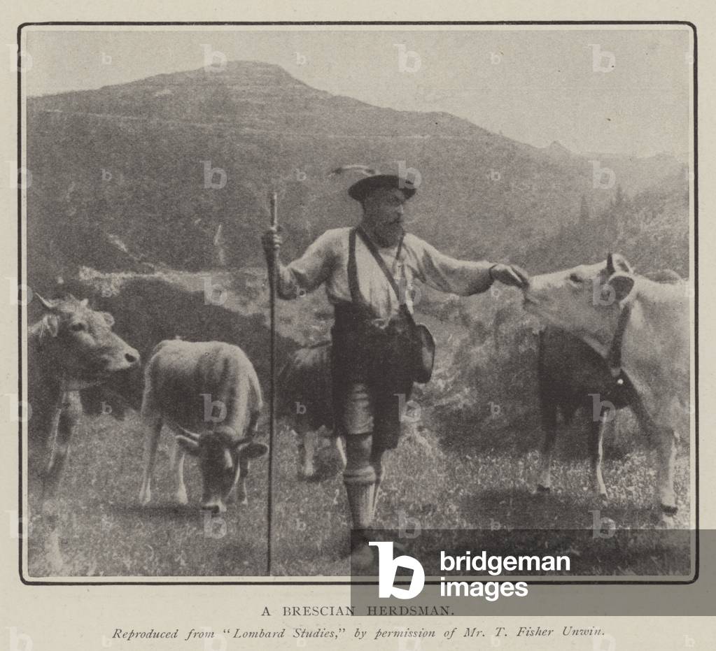 A Brescian Herdsman (b/w photo)