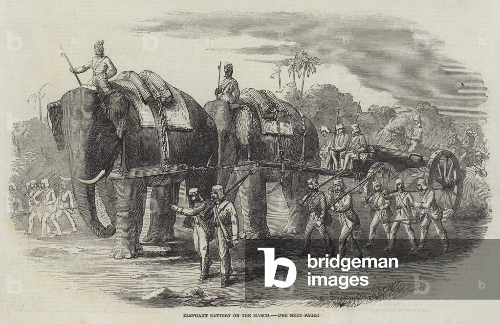 Elephant Battery on the March (engraving)