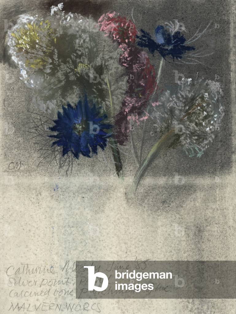 Love in the Mist, probably Valerian and possibly Dandelion clocks, June 1985 (silver point & pastel on paper)
