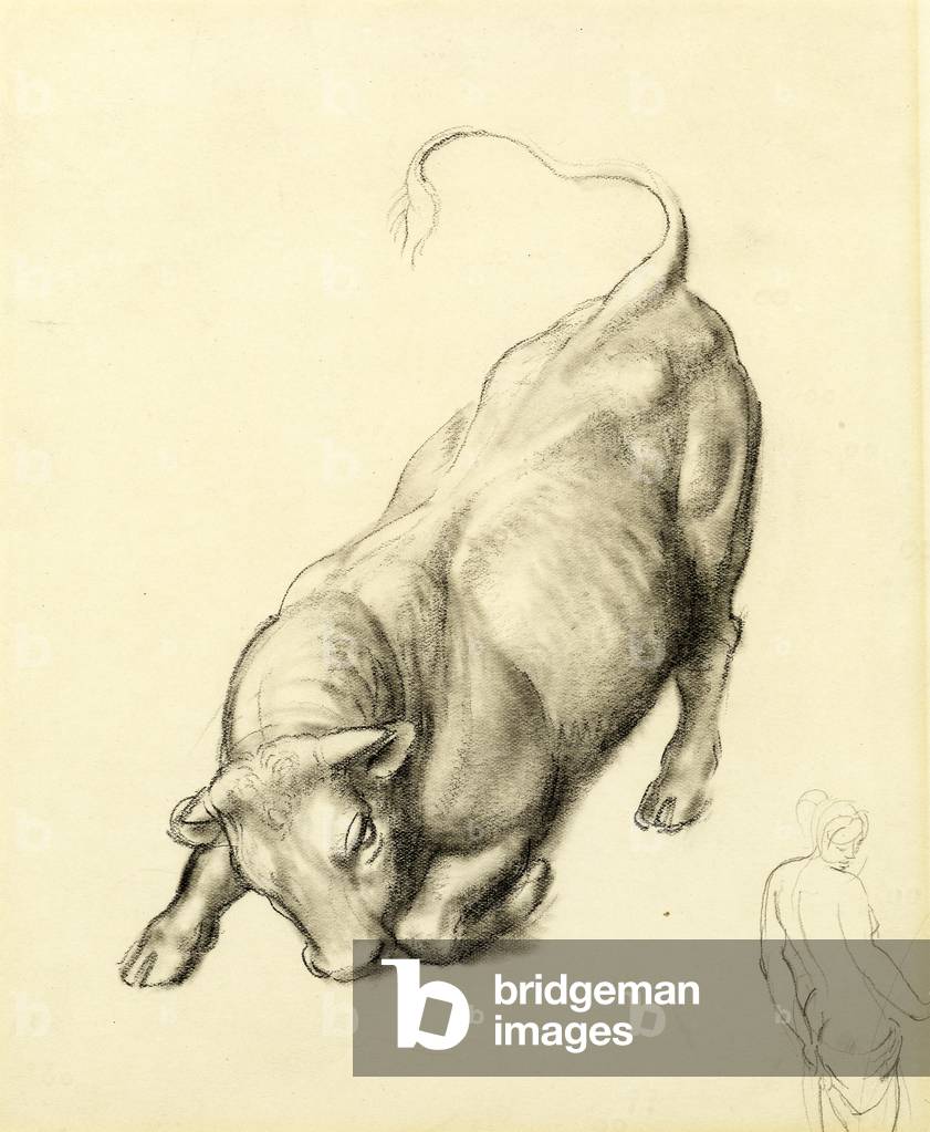 Study for Europa, Kneeling Bull, c.1928 (black chalk on paper) 