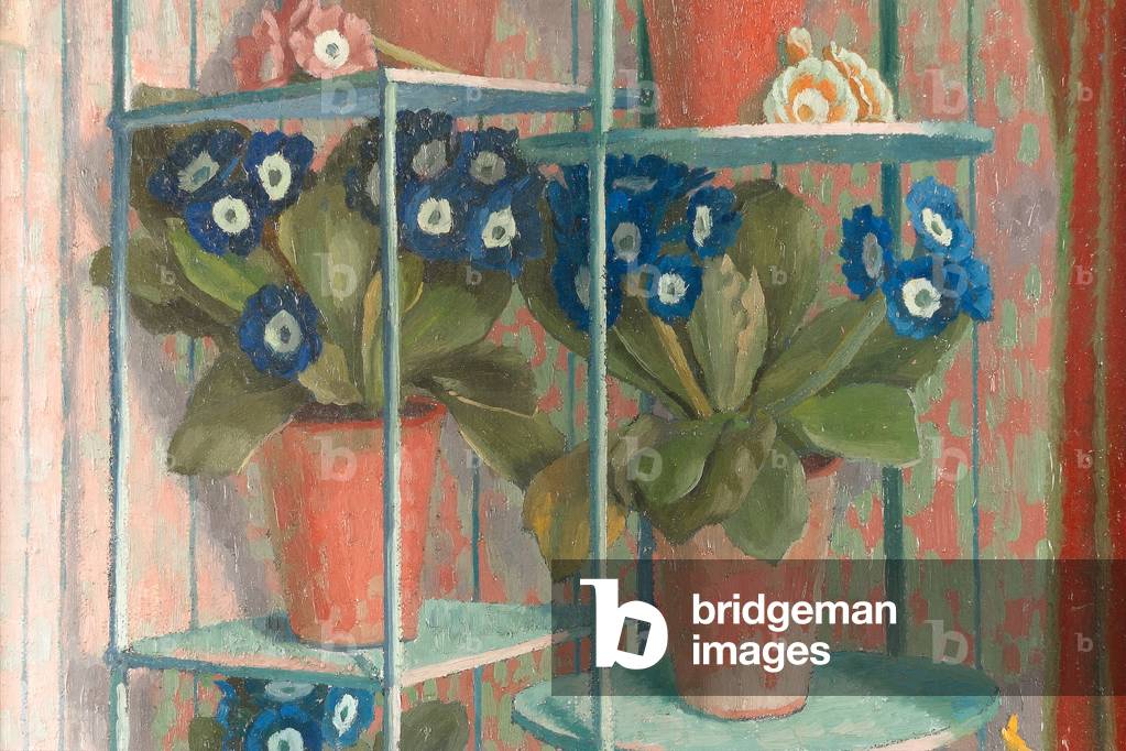 Auriculas in pots, c.1950 (watercolour & pencil on paper) (detail of 244581)