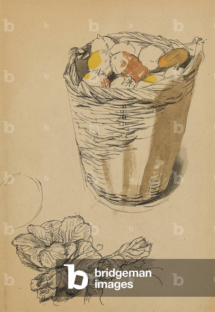 Basket of Gourds (pen & ink with w/c on paper)