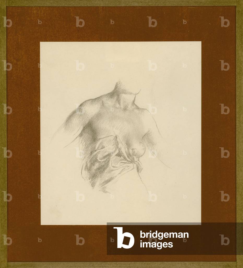 Female Torso, Study for Diana and Acteon (pencil on paper)