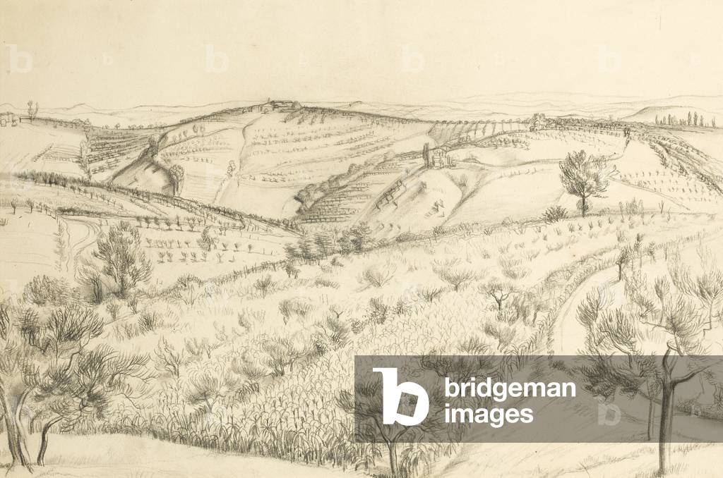Orvieto, a rolling landscape (pencil on paper)