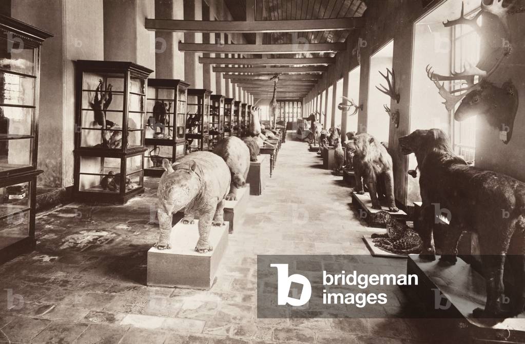 The National Museum in Bangkok, c.1890 (b/w photo)