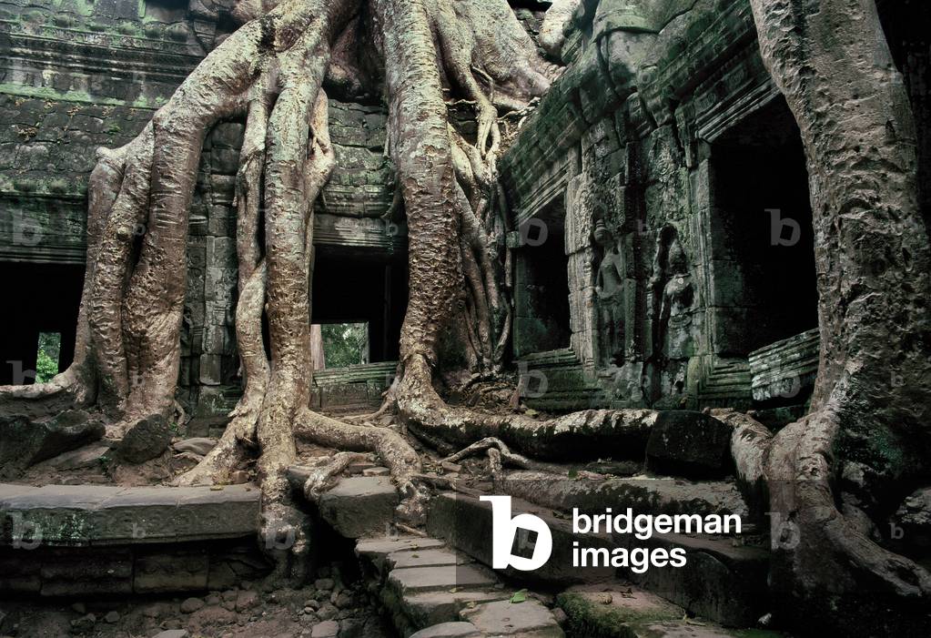 Ta Prohm, Angkor, Cambodia
Late 12th to 13th Century