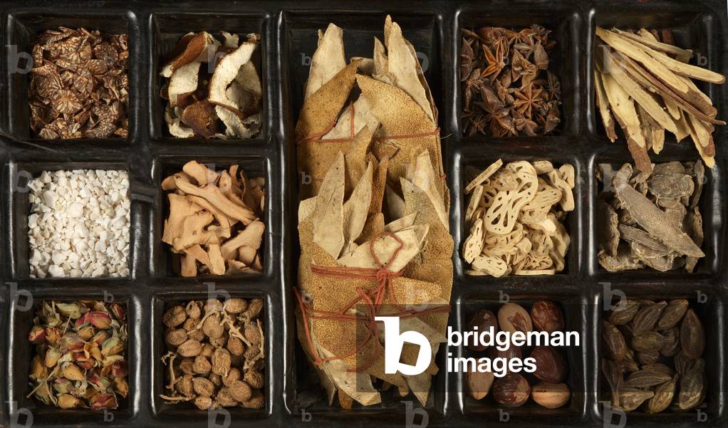 Chinese medicinal herbs (photo)