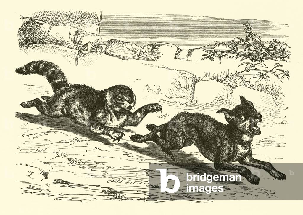 Poor Dog Bright (engraving)