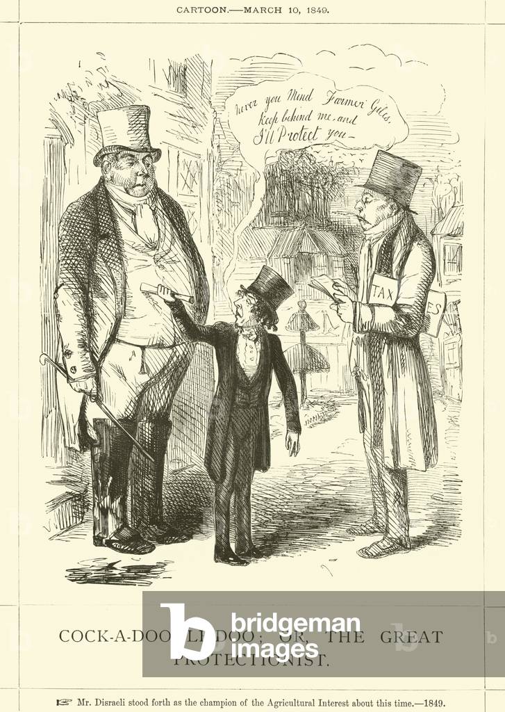 Cock-a-doodle-doo, or, the Great Protectionist (engraving)