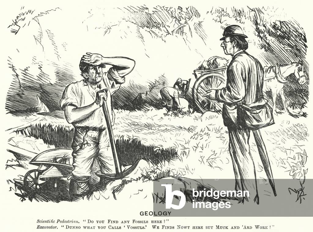 Punch cartoon: Geology (engraving)
