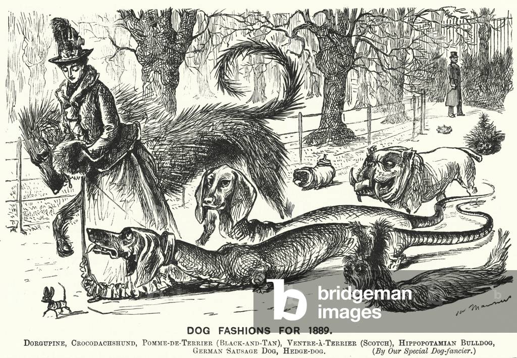 Punch cartoon: Dog Fashions for 1889 (engraving)