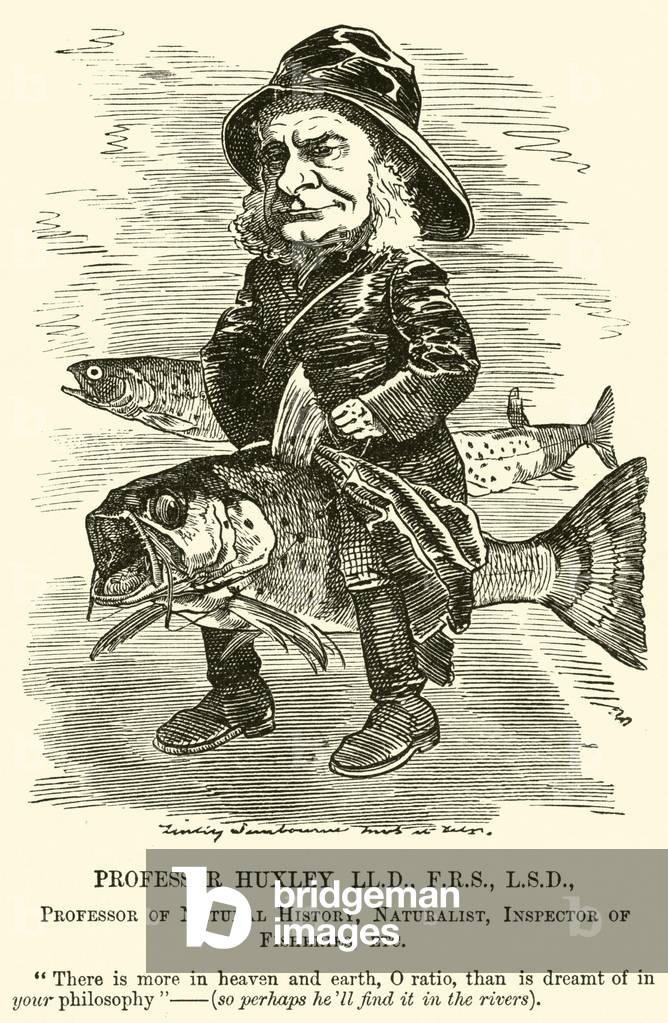 Professor Huxley, LLD, FRS, LSD, Professor of Natural History, Naturalist, Inspector of Fisheries, etc (engraving)