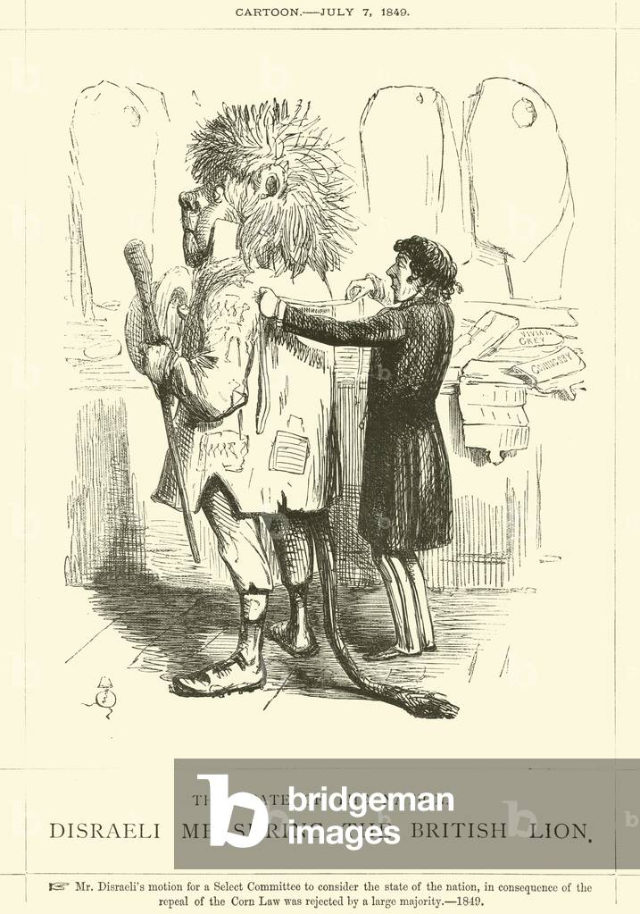 The State of the Nation, Disraeli measuring the British Lion (engraving)