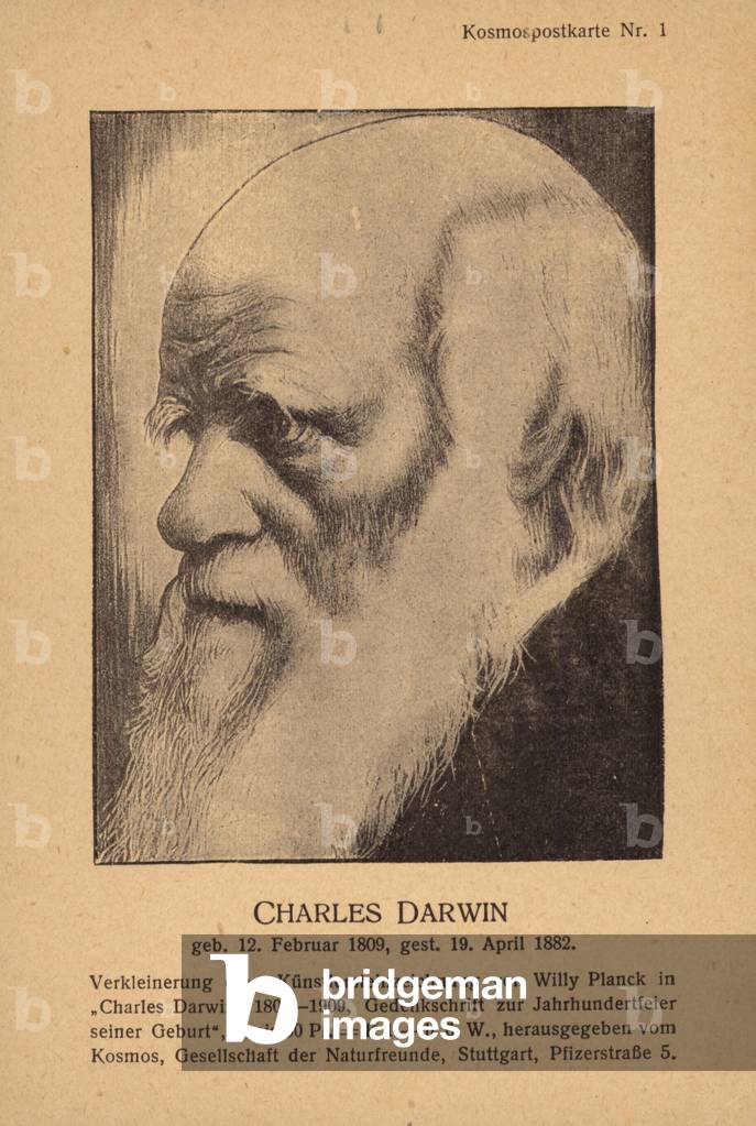 Charles Darwin (1809-1882), English naturalist (litho)