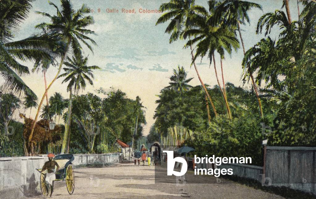 Galle Road in Colombo (photo)