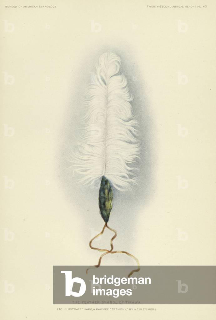 The feather symbol of Tirawa (colour litho)